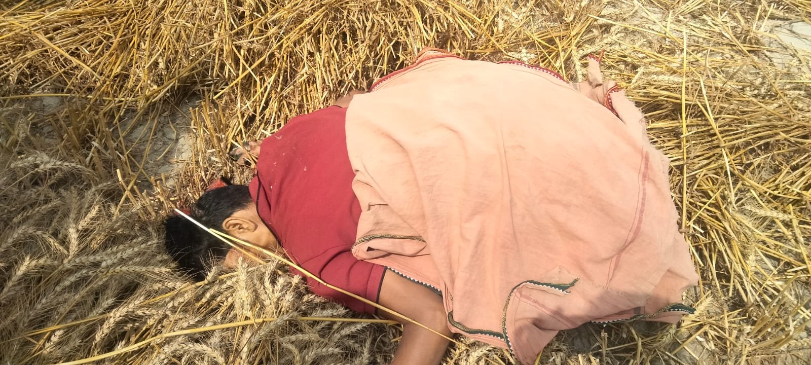 गेहूं तैयार कराने खलिहान जा रहा था किसान, बदमाशों ने पकड़कर सिर में मार दी गोली ।