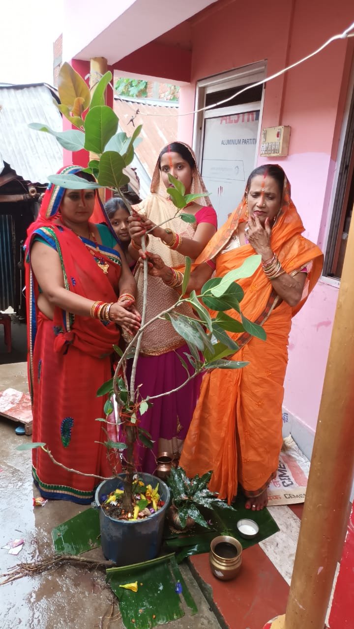 सुहागिन महिलाओं ने वट सावित्री व्रत को लेकर नगर पंचायत सिमराही के विभिन्न स्थानों पर विधि विधान से बरगद के पेड़ की पूजा की …