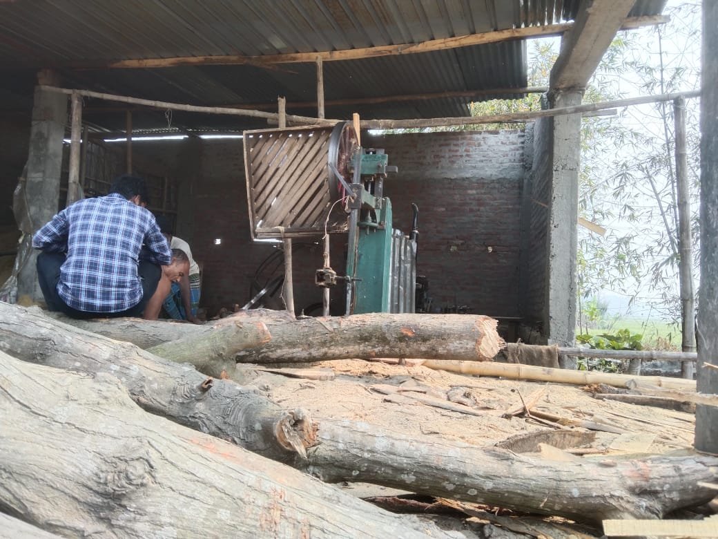 विभागीय जांच के बाद भी अवैध आरा मिल के विरुद्ध नहीं हुई कार्रवाई, अब भी धड़ल्ले से चल रही अवैध आरा मिल।।
