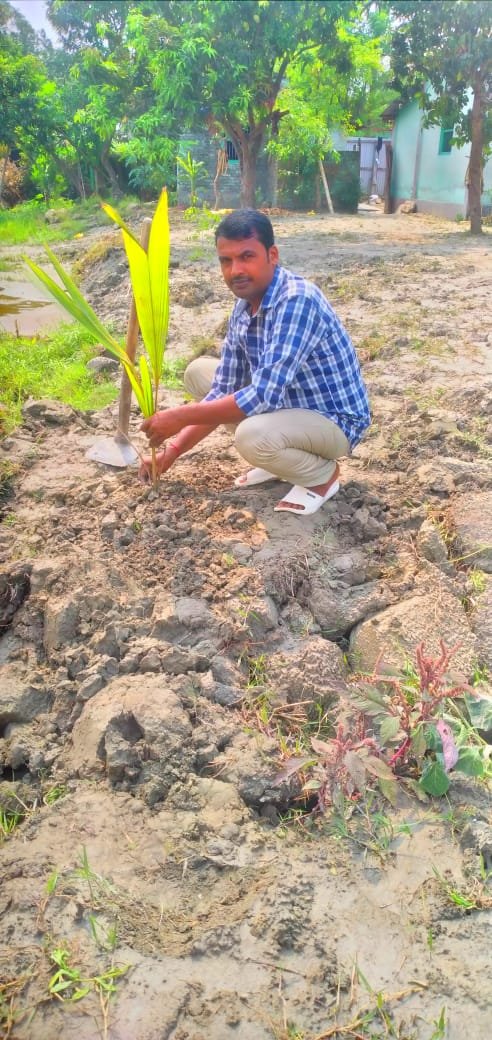 पर्यावरण दिवस पर लगाए पौधे