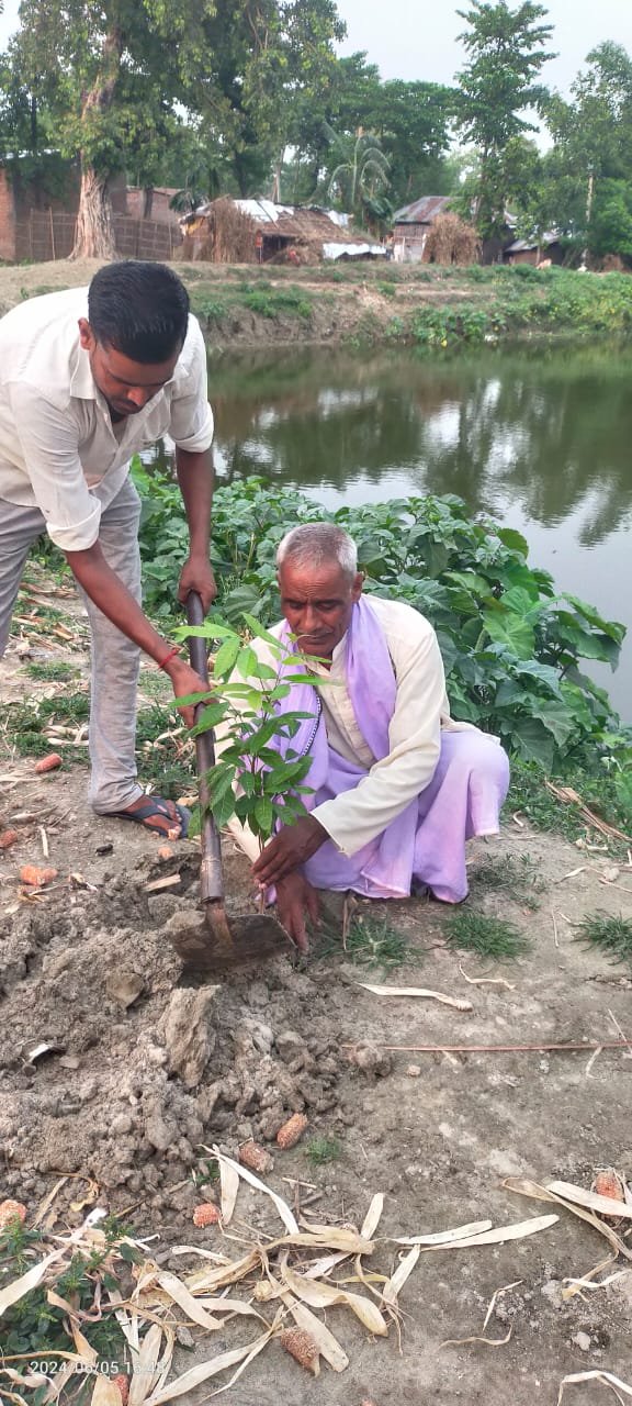 पर्यावरण दिवस पर किया पौधारोपण।